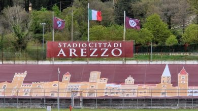 Promozione del Lecco in Serie B, retrocessione della Reggina. Eliminazione del Siena dal Campionato. Il girone dell'Arezzo.