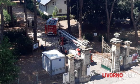 Villa Fabbricotti: Il parco chiuso al pubblico dopo che un pino è stato squarciato dalle forti raffiche di vento