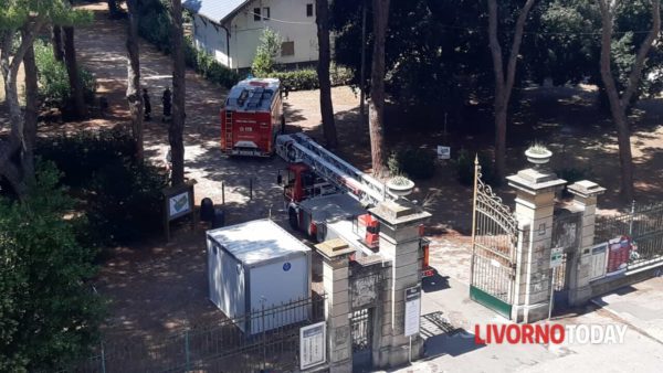 Villa Fabbricotti: Il parco chiuso al pubblico dopo che un pino è stato squarciato dalle forti raffiche di vento