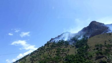 Vigili del Fuoco aretini impegnati a proteggere le abitazioni dalle fiamme sulle colline di Palermo incendiate