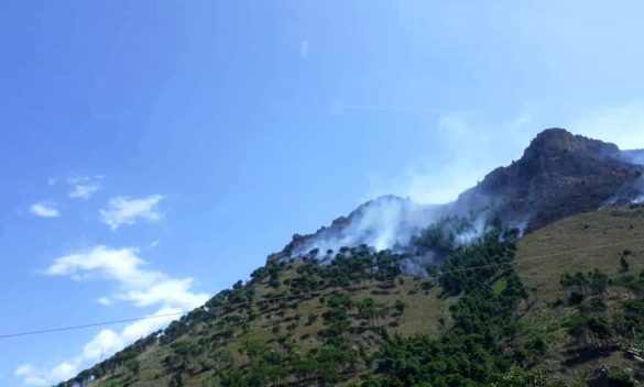Vigili del Fuoco aretini impegnati a proteggere le abitazioni dalle fiamme sulle colline di Palermo incendiate