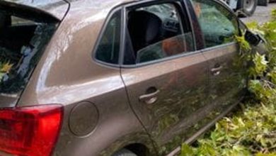 Auto distrutta da caduta di ramo di platano durante violento temporale