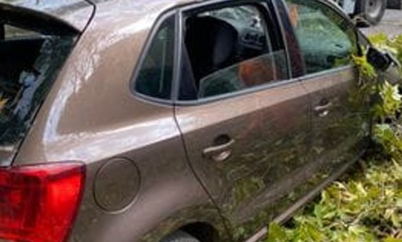 Auto distrutta da caduta di ramo di platano durante violento temporale