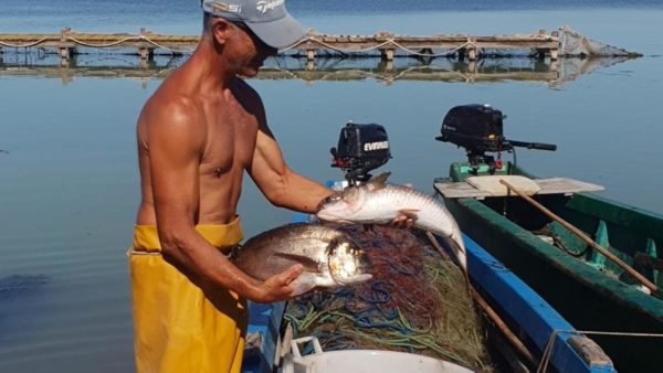 Laguna, tavolo tecnico al Ministero Approvato l'ordine del giorno