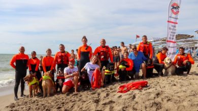 Marina di Pisa protagonista sulla Rai: turisti e cani bagnino a fare da cornice