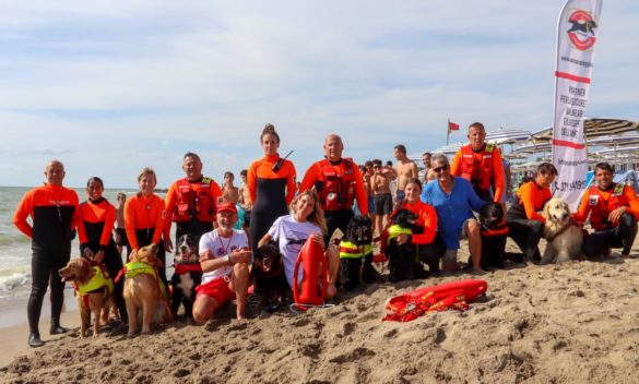 Marina di Pisa protagonista sulla Rai: turisti e cani bagnino a fare da cornice