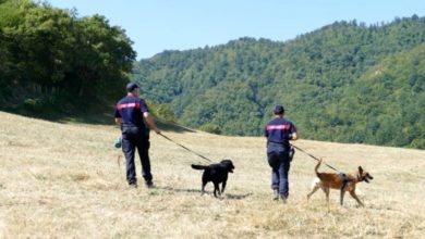 I controlli dei forestali sui cani morti per sospetto avvelenamento
