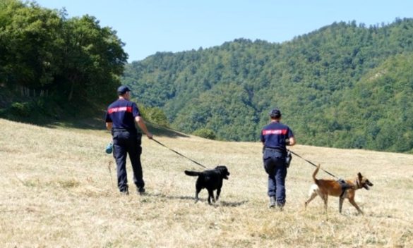 I controlli dei forestali sui cani morti per sospetto avvelenamento