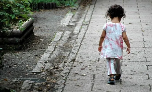 Accoglienza minori a San Rossore: Auletta critica il parco, Bani risponde sostenendo disponibilità degli altri.