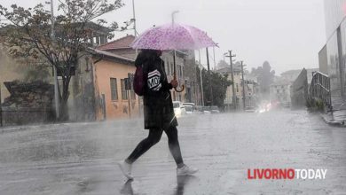 Previsioni meteo Livorno: sole e caldo per i prossimi giorni, ma pioggia prevista dal 3 agosto in poi