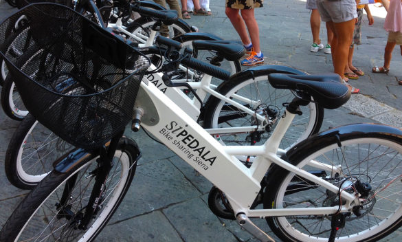 Assessore Tucci desidera promuovere il bike sharing a Siena