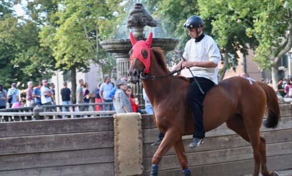 Belloni sogna il Palio di Siena, ma non dimentica neanche il Palio di Legnano - Sempione News.