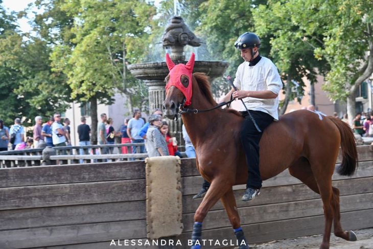 Belloni sogna il Palio di Siena, ma non dimentica neanche il Palio di Legnano - Sempione News.