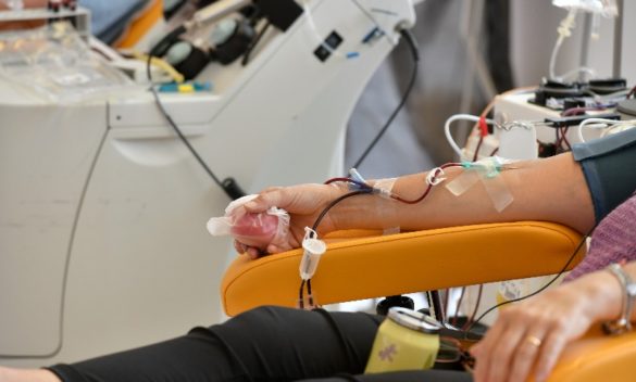 Calendario donazioni di sangue a Pisa, domeniche aperte