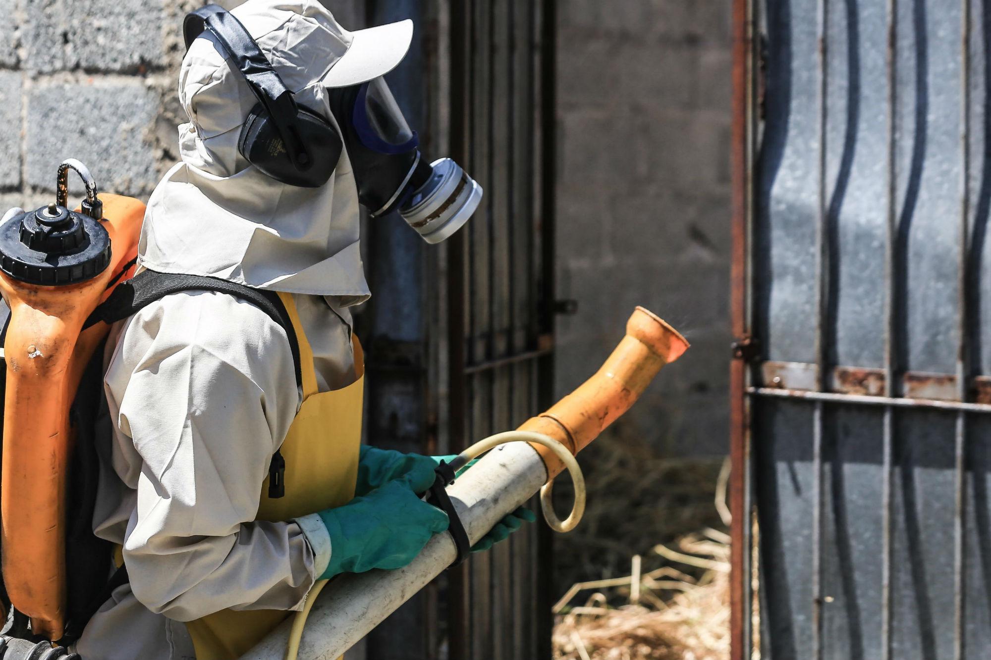 Caso di Dengue a Pisa, Avviati interventi di disinfestazione