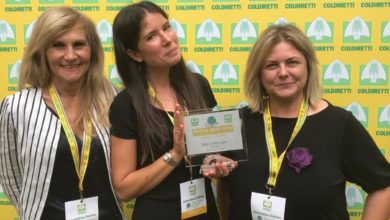 Un drone per impollinare gli olivi, la Coldiretti premia l’idea dell’imprenditrice senese Bianca Mascagni