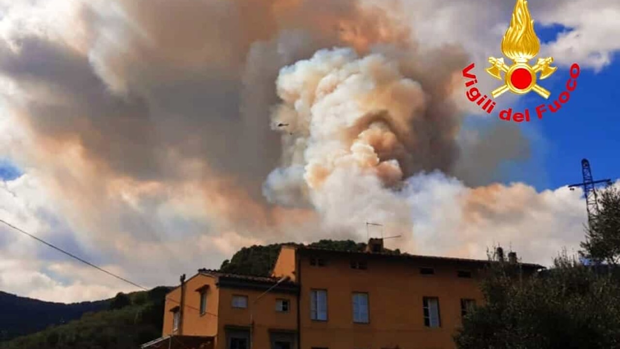 Coldiretti stima 15 anni per ricostruire i boschi di Buti dopo l'incendio.