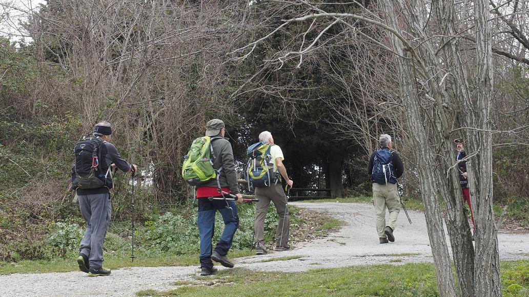 Comune di Ameglia al lavoro per un piano integrato, pressione sul Parco e richiesta di un consigliere.