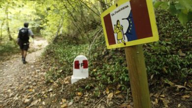 Comune di Siena e Legambiente puliscono la Francigena