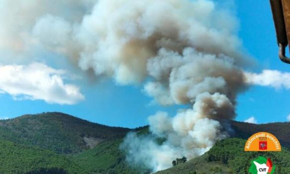 incendio monti pisani