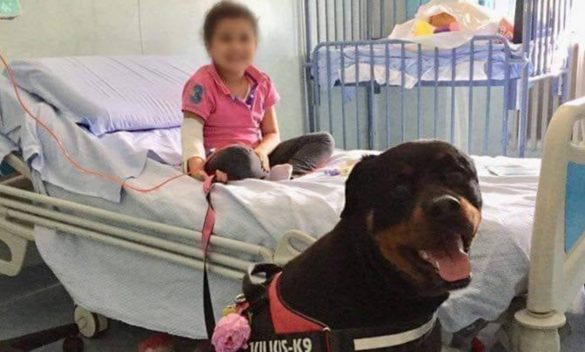 Dea il Rottweiler che cura bambini a Pisa
