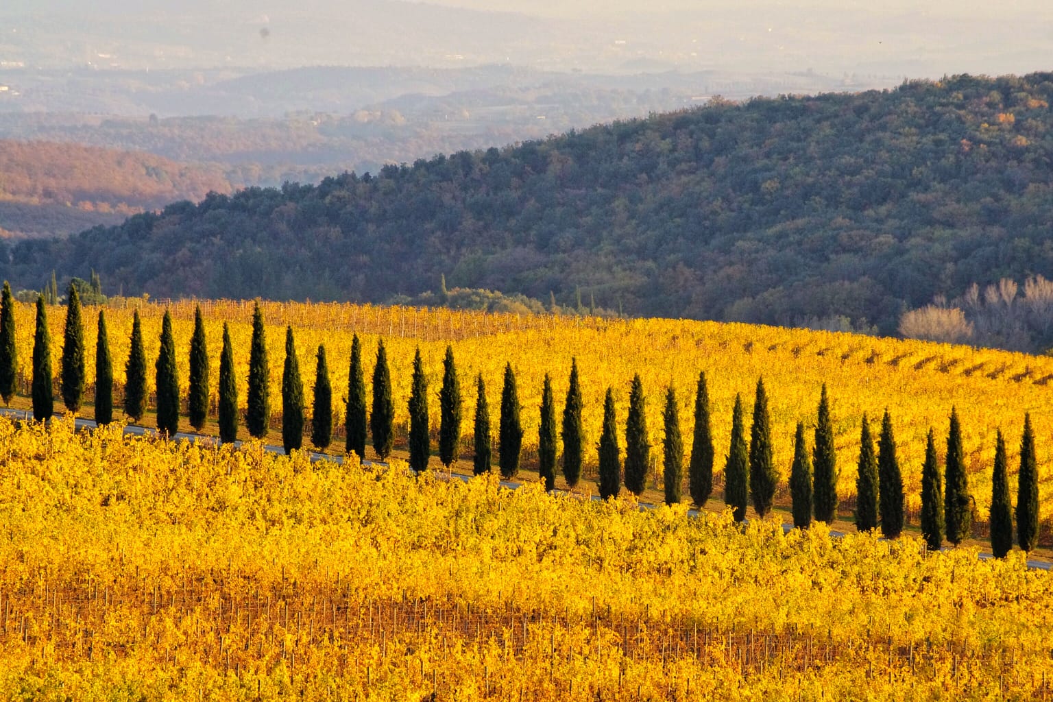 Fine settembre, estate tardiva, caldo e sereno a Siena - Siena News.