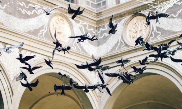 Firenze celebra la grande arte nellautunno del 2023