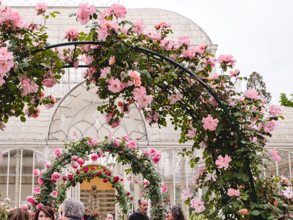 Firenze, edizione autunnale della Mostra mercato di piante e fiori all'Orticoltura