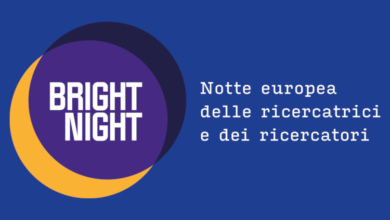 Bright Night 2023, logo