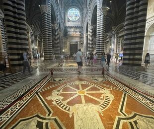 In Rettorato la presentazione di 'Un libro di marmo', trent'anni di studi sul Pavimento del Duomo.