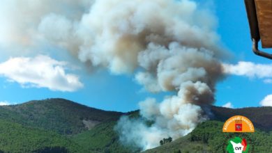 Incendio devastante sul Monte Pisano, fiamme divampano a Buti