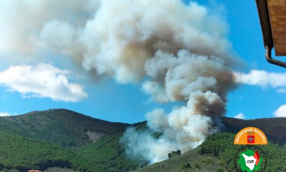 Incendio devastante sul Monte Pisano, fiamme divampano a Buti