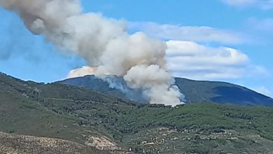 Evacuata casa durante vasto incendio sul Monte Serra.