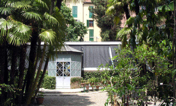 La serra del Museo Botanico dell'Università di Siena