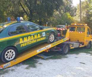 Lassociazione Anpana chiede aiuto auto e ambulanza rotte