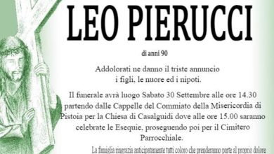 Leo Pierucci , Una raccolta di articoli che descrivono la situazione della città di Pistoia.