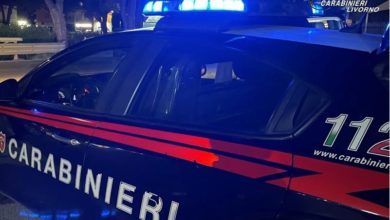 Livorno, arrestati due spacciatori che utilizzavano bottiglie di Sassicaia rubate per pagare la cocaina.