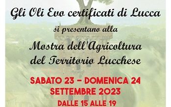 Lucca celebra l'inizio della raccolta delle olive, festa per i produttori di olio EVO