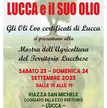 Lucca celebra l'inizio della raccolta delle olive, festa per i produttori di olio EVO