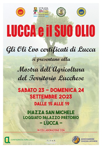 Lucca celebra l'inizio della raccolta delle olive, festa per i produttori di olio EVO