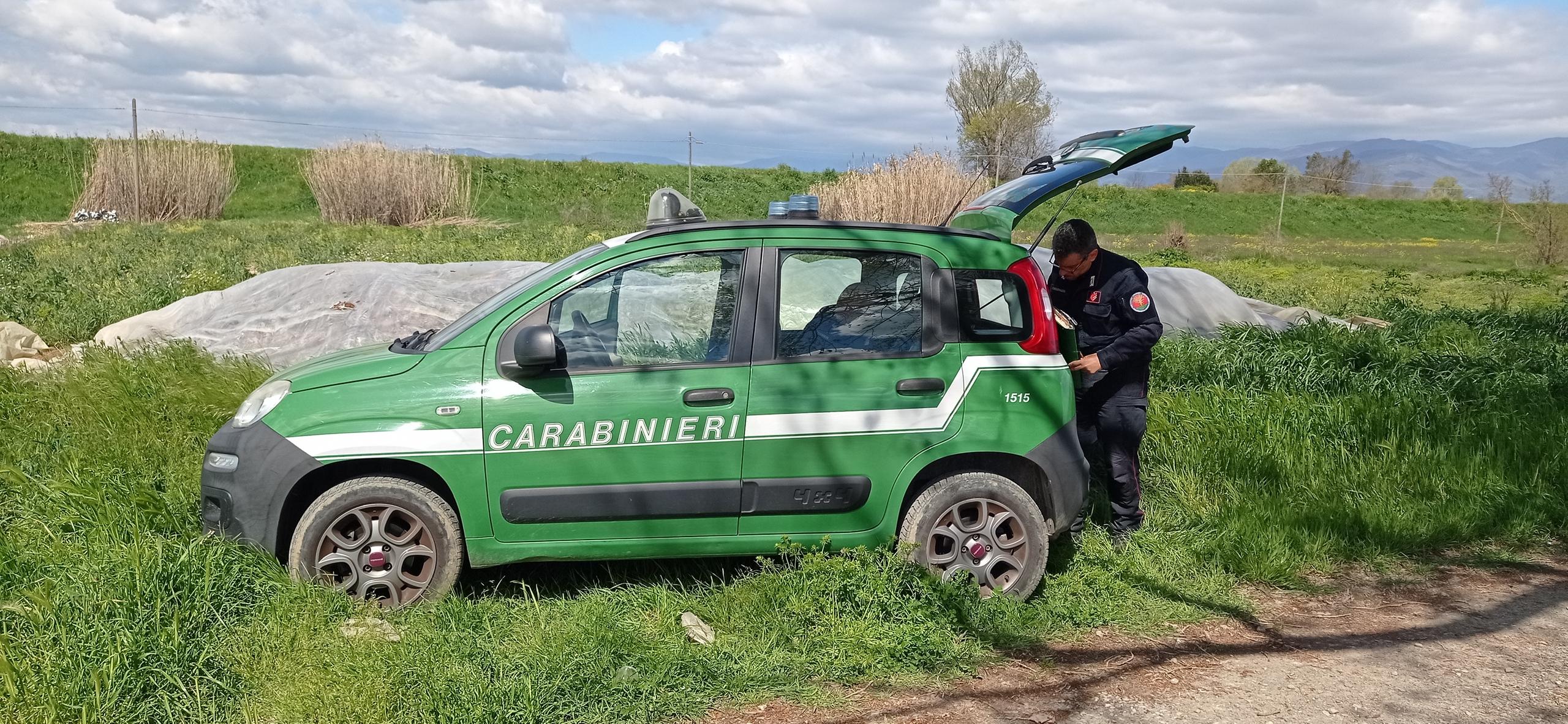 Multe da 20mila euro per azienda agricola colpita da blitz.