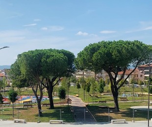 Nuovo parco cittadino nel cuore di Montemurlo, inaugurazione festosa con eventi per la cittadinanza e associazioni locali.