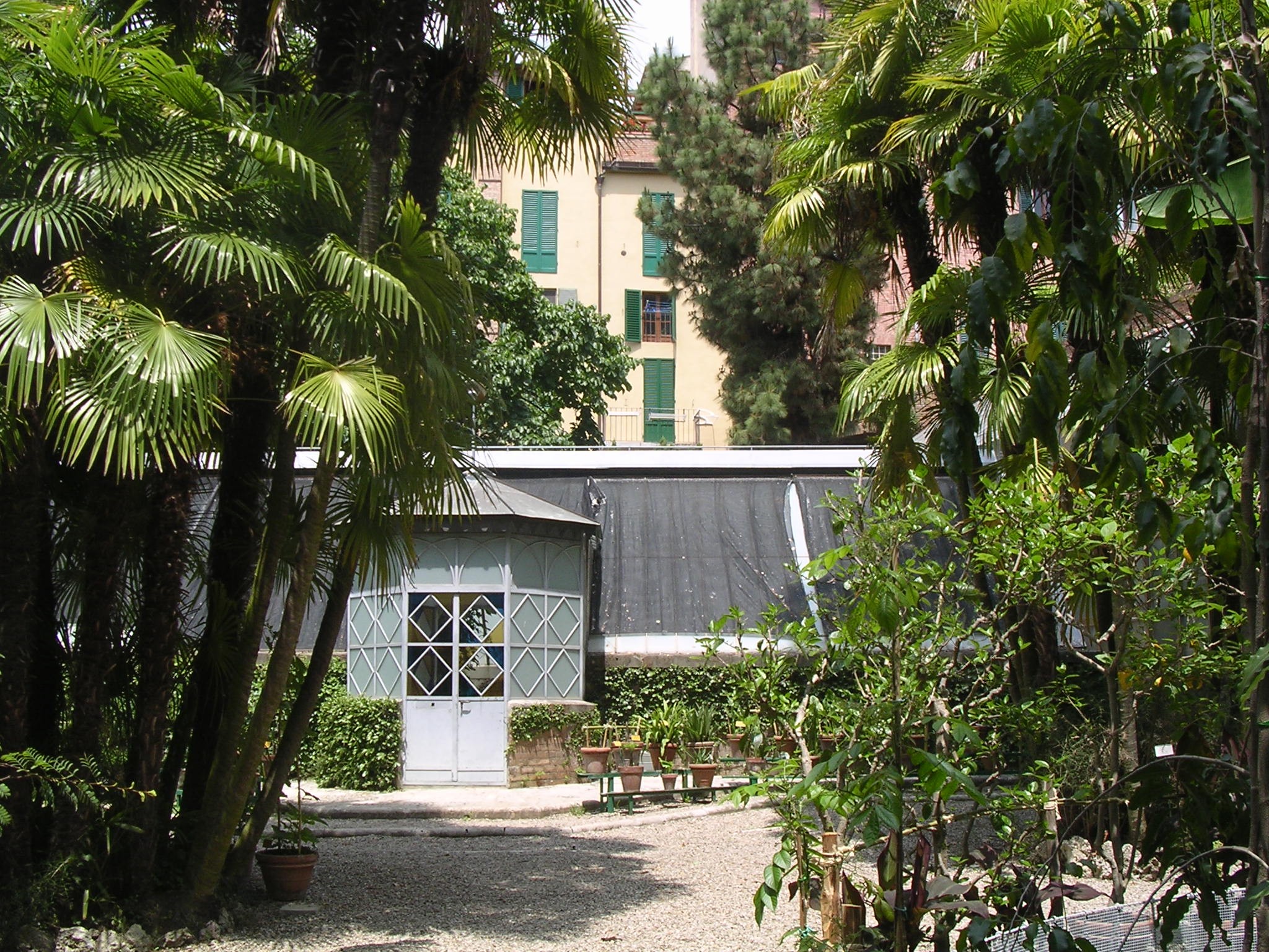 Orto botanico di Siena promuove la serra sostenibile "Un serra per amica"