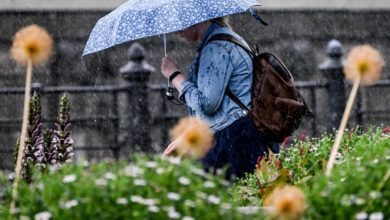 Pioggia e temporali imminenti per porre fine all'afa