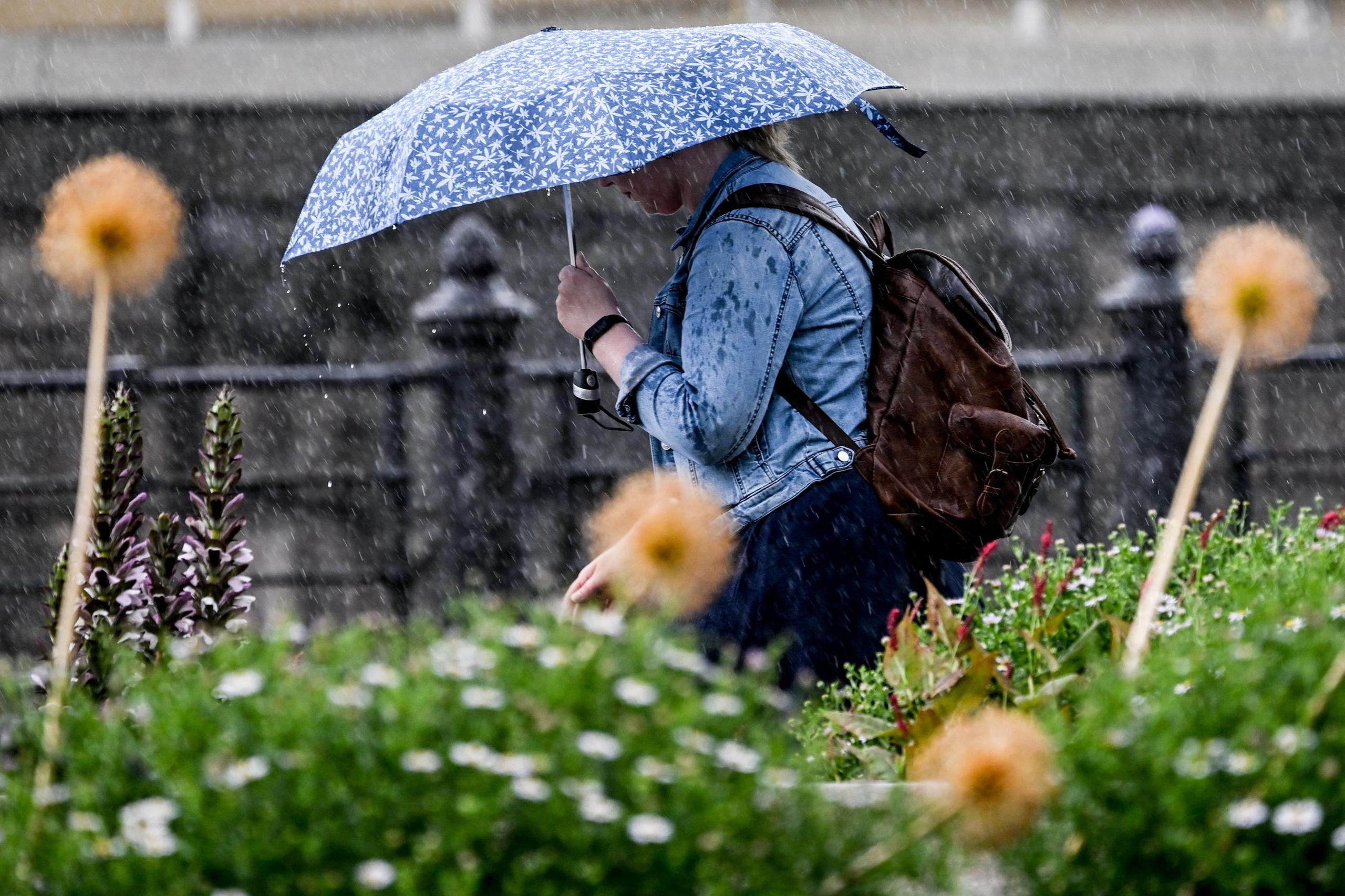 Pioggia e temporali imminenti per porre fine all'afa