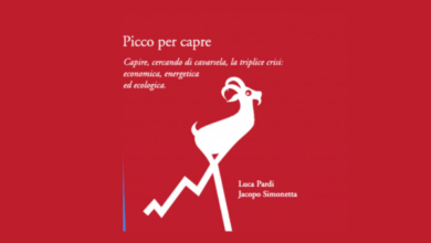 Presentazione libro "Picco per capre" al Festival "Il mondo che si muove", affrontare crisi economica, energetica e climatica.