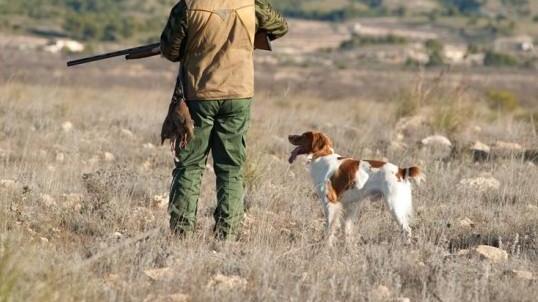 Riapre la caccia in Toscana ma gli appassionati diminuiscono 8000