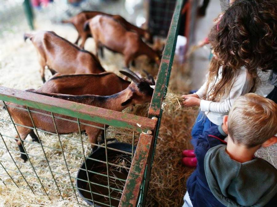 Ritorna la Fiera dell'Antella, fattoria e mercato contadino all'aperto.