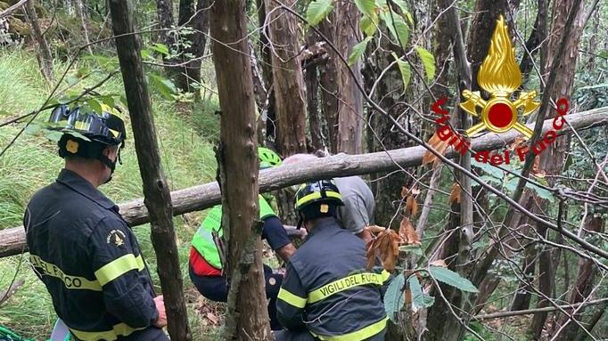 Scomparsa nel bosco. Trovato incolume dopo tantissimo tempo.