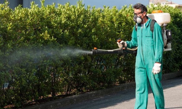 Secondo caso di Dengue a Arezzo in 48 ore.